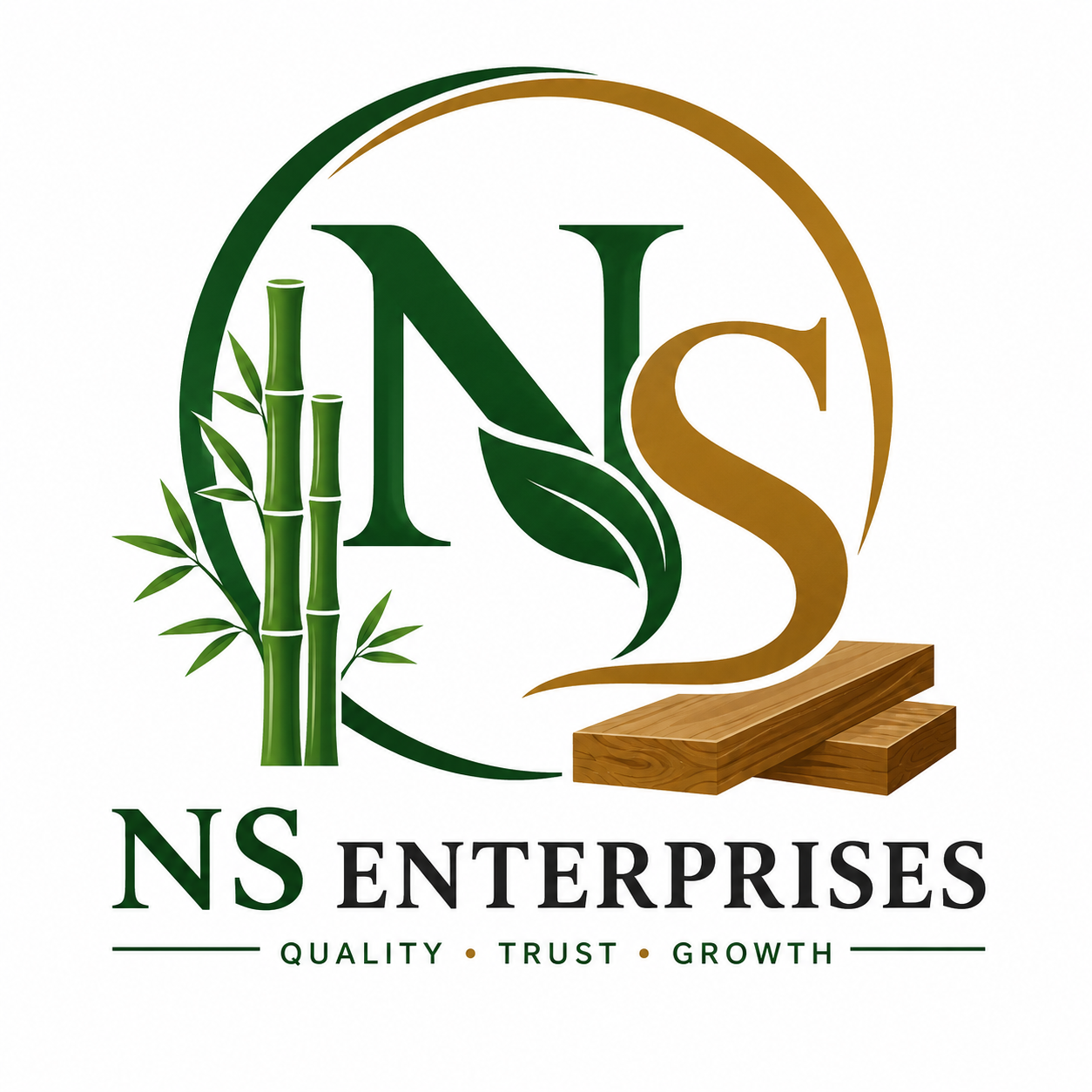 Ns Enterprises Logo